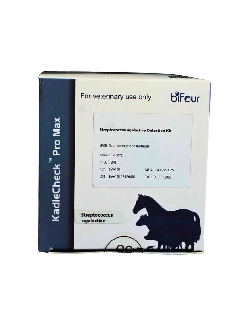 Descarte PCR- Streptococcus agalactiae